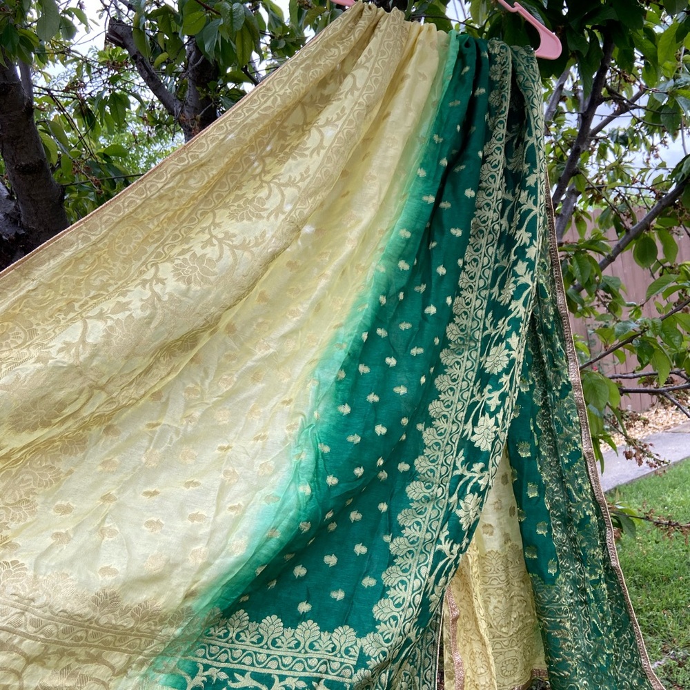 Elegant Green and Gold Salwar Kameez Scarf